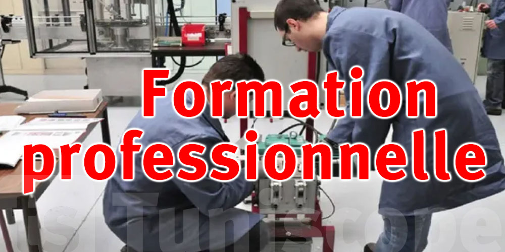 Formation professionnelle en Tunisie : une nouvelle plateforme numérique pour les inscriptions